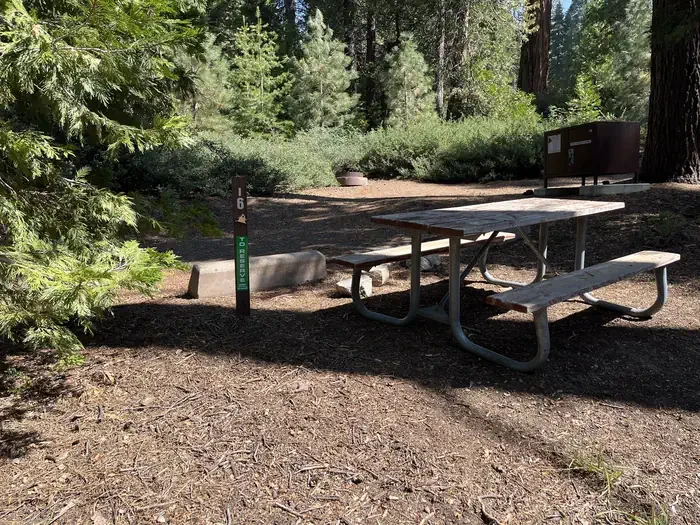 Site:  16