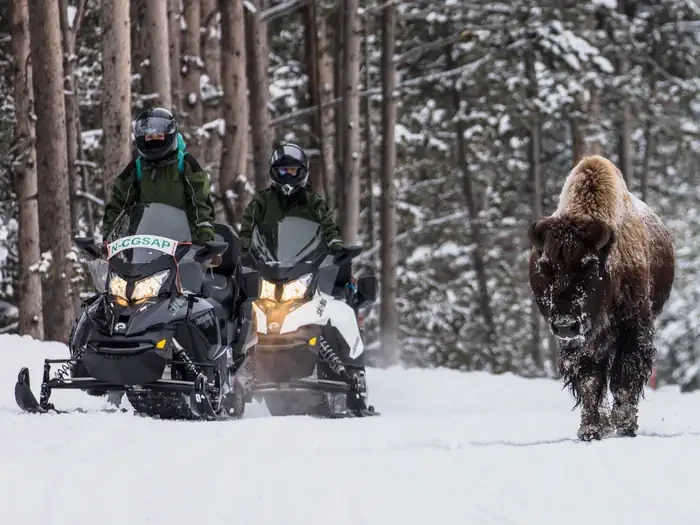 Yellowstone Non-Commercially Guided Snowmobile Access Program