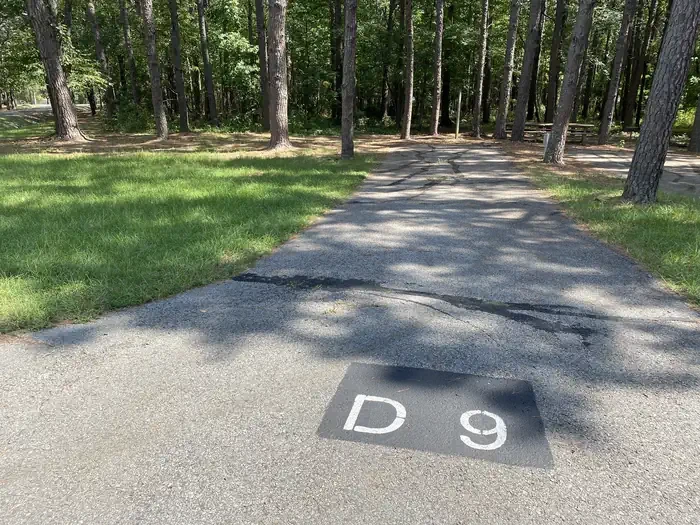 D09