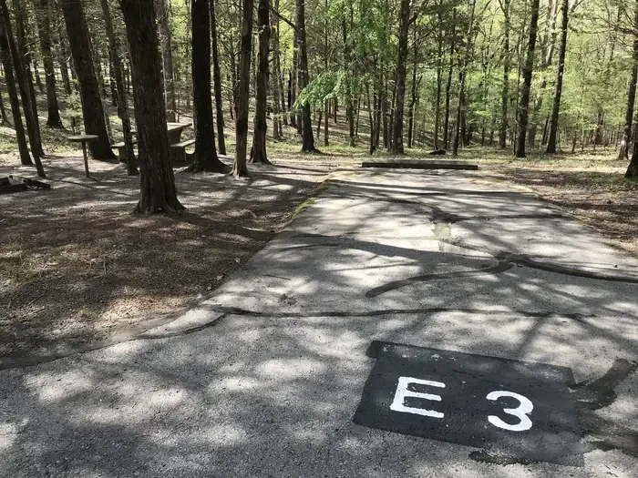 E03