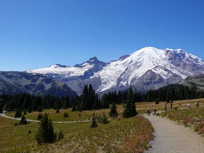 Mount Rainier National Park Timed Entry Reservations