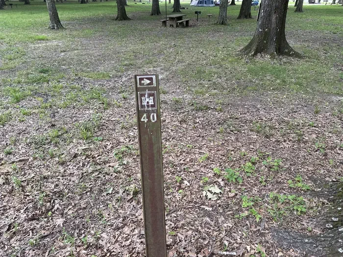 40