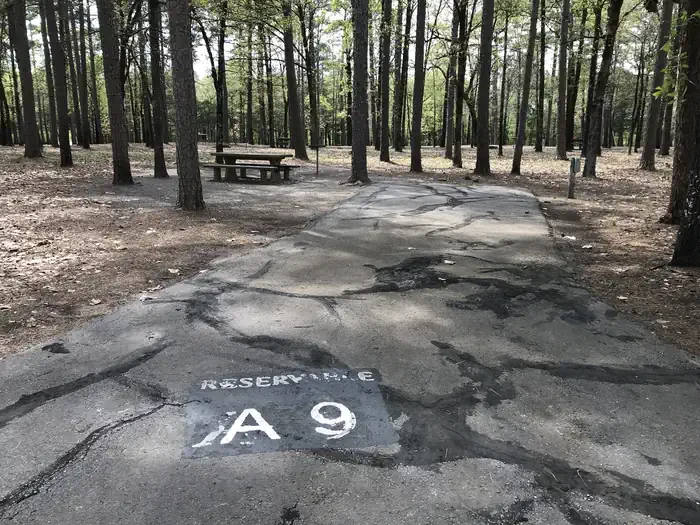 A09