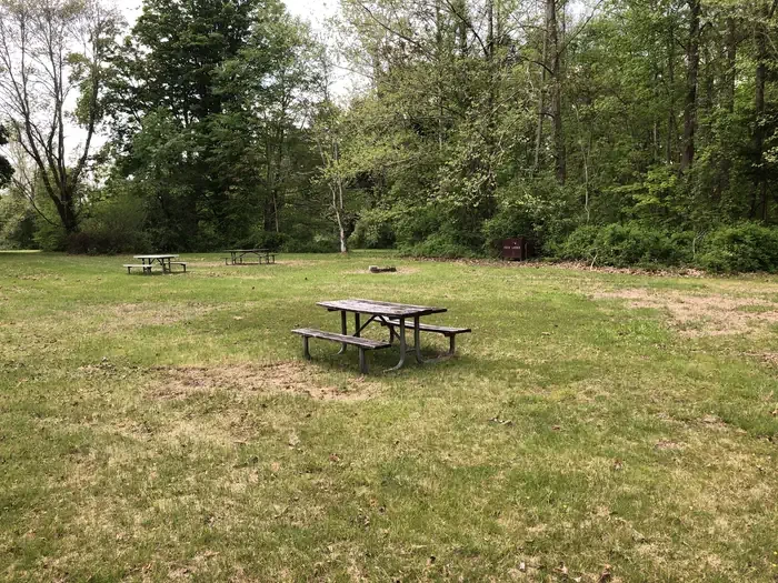 Site #4