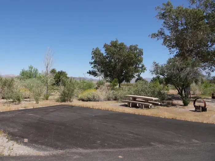 Site 75