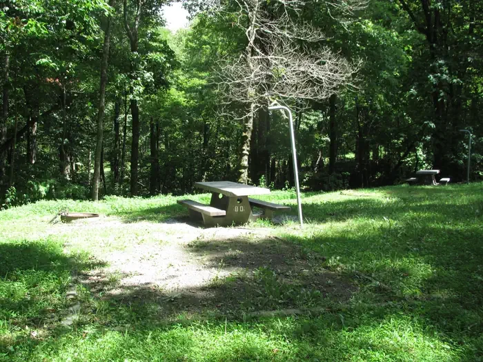 Group Site 2