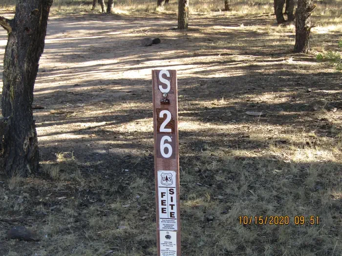 26