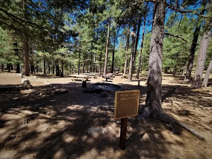 Riggs Lake Group Site