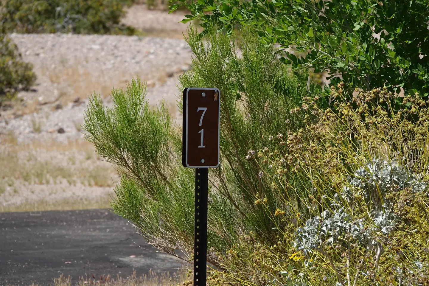 Site 71