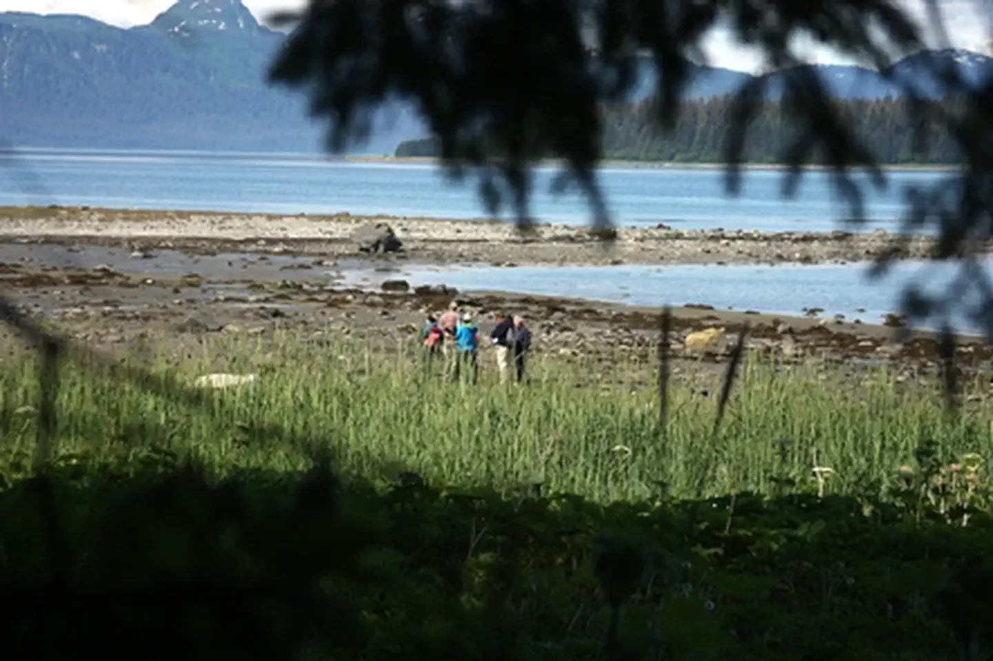 Bartlett Cove Campground