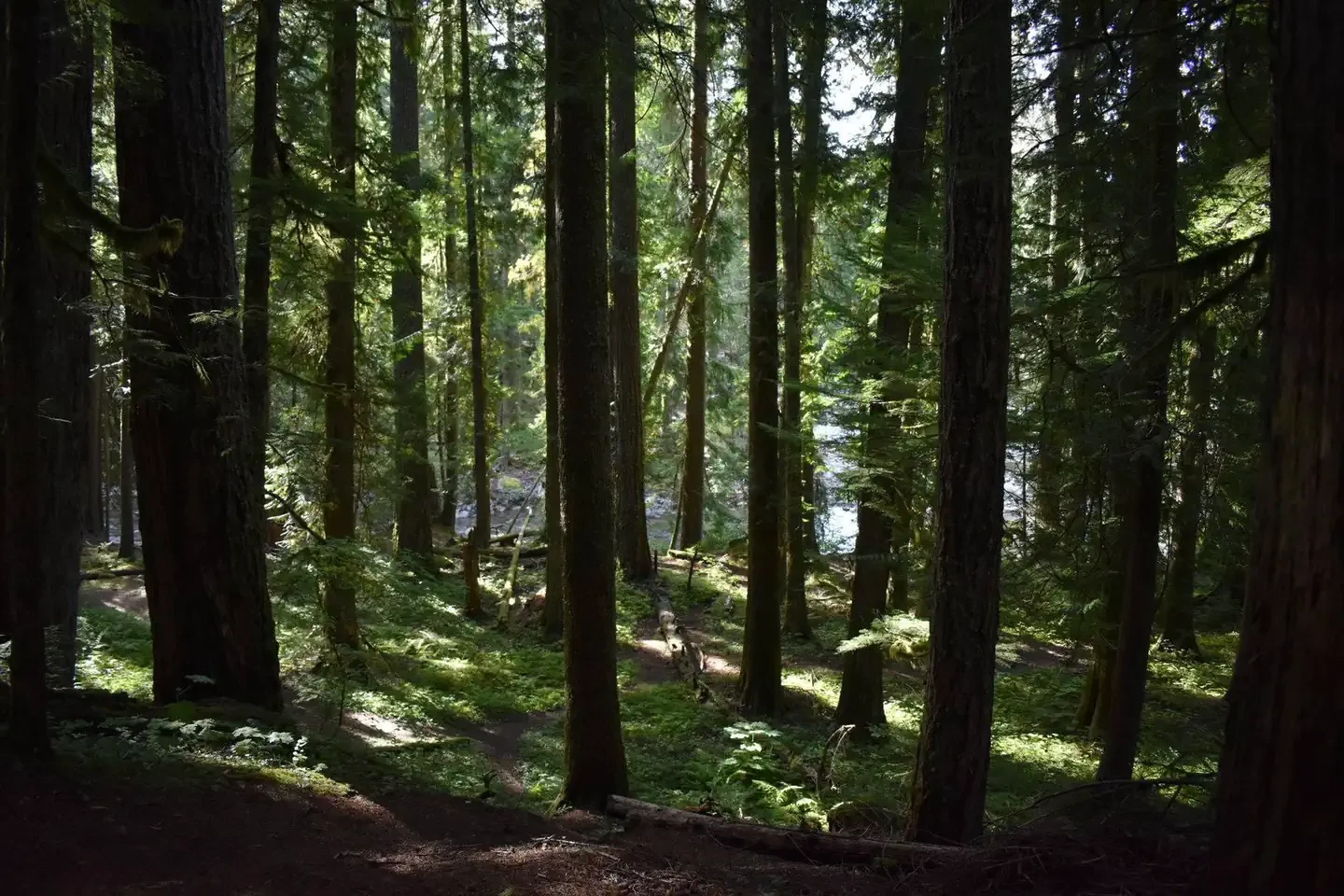 F008