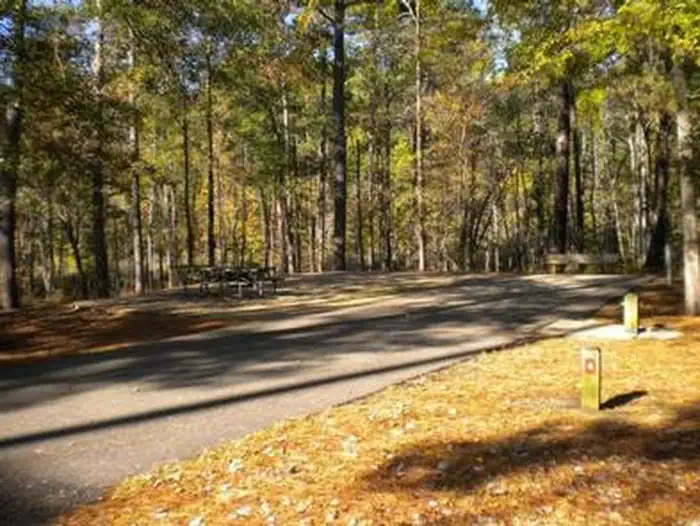 Beaver Dam Campground (Kisatchie National Forest, LA)