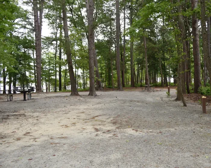 Piney Woods Group Camping Area