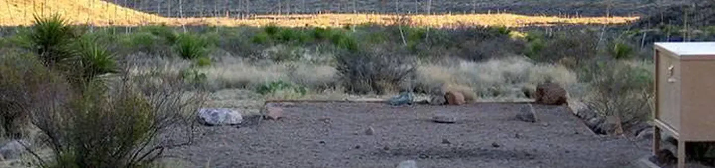 Pine Canyon 4