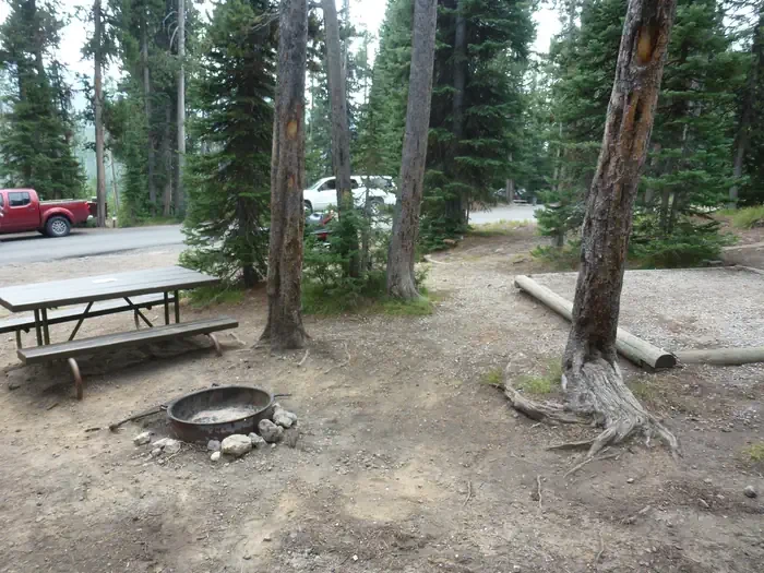 Lewis Lake site #51