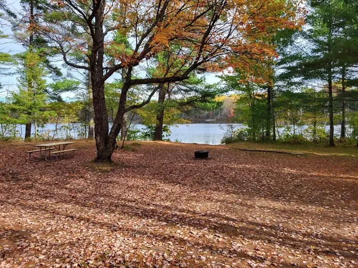 Swan Lake Campsites
