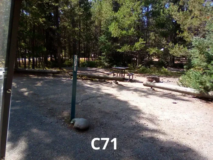 71