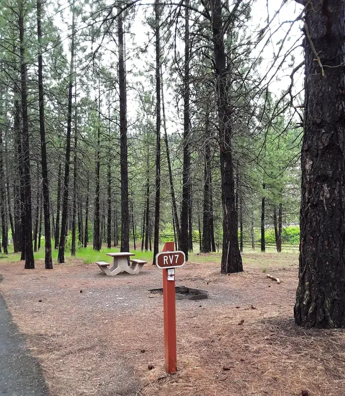 Sloway Campground (MT)