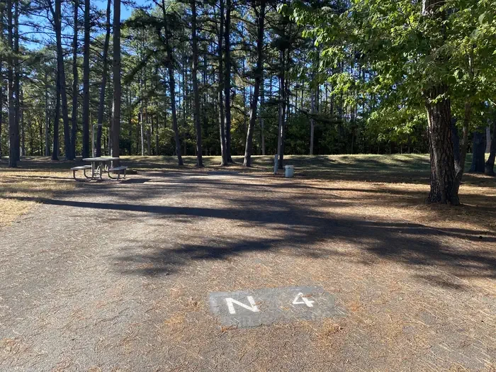 N04