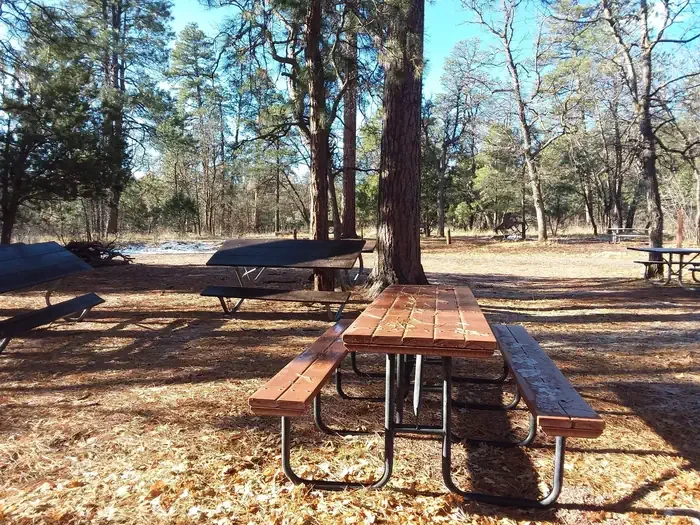 Moqui Group Campground Spooner
