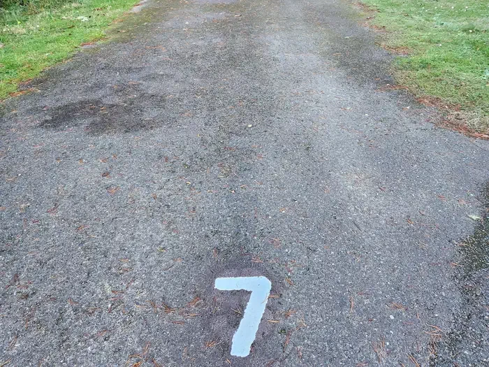07