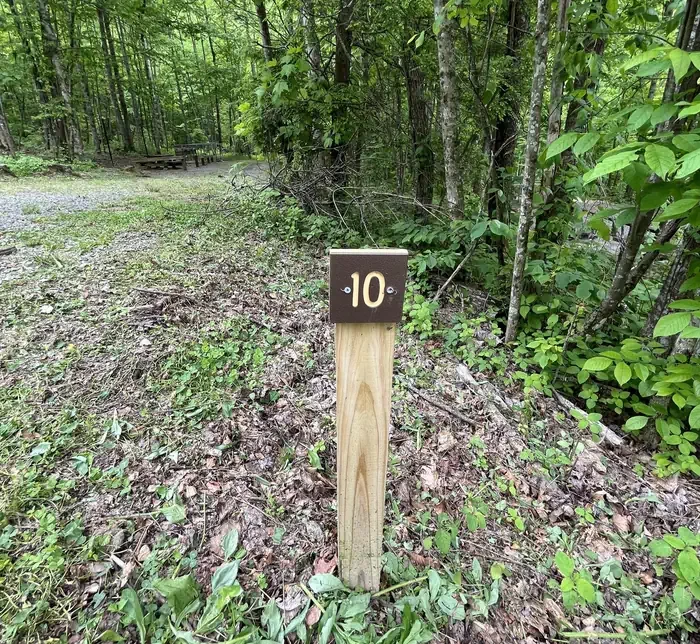 HD10