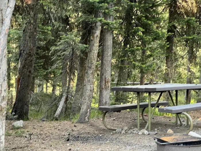 Lewis Lake site #38