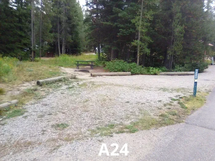 24