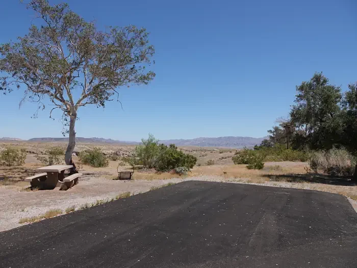 Site 62
