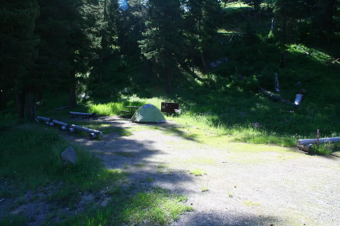 Slough Creek site #1