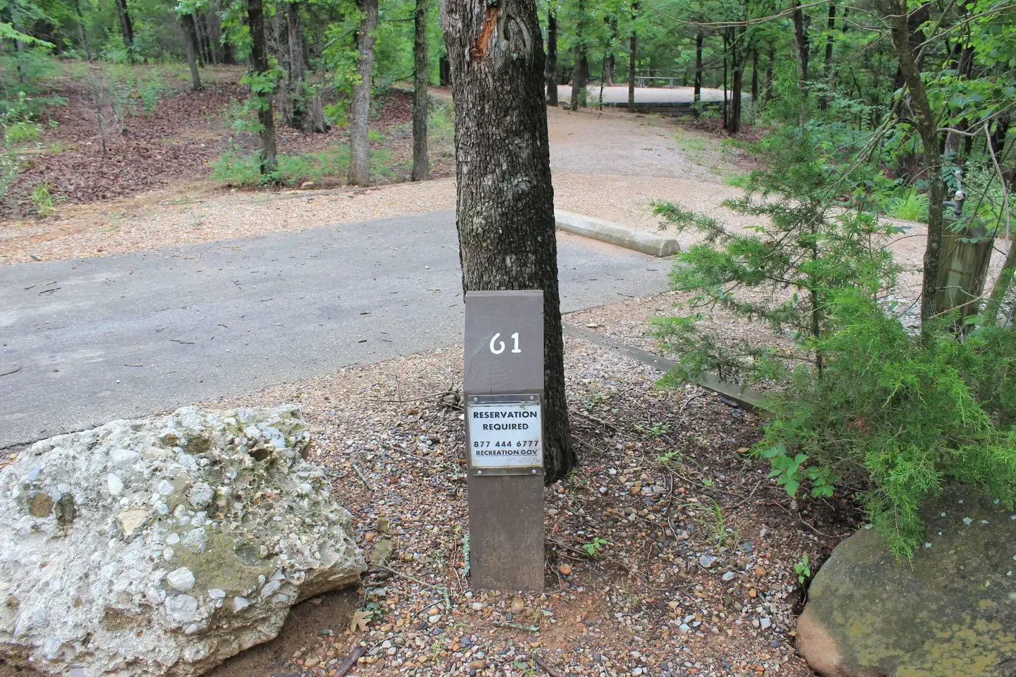 061C
