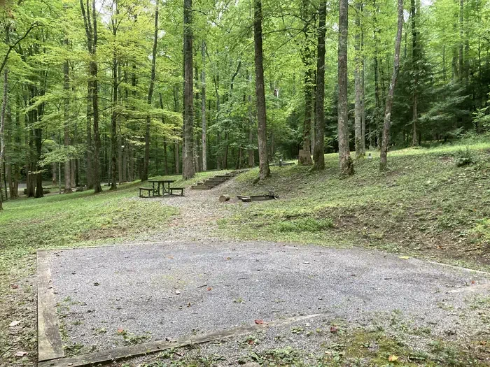 A31