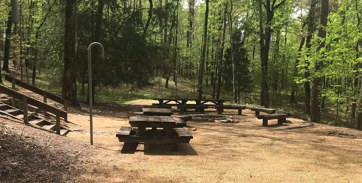 Bent Twig Camp