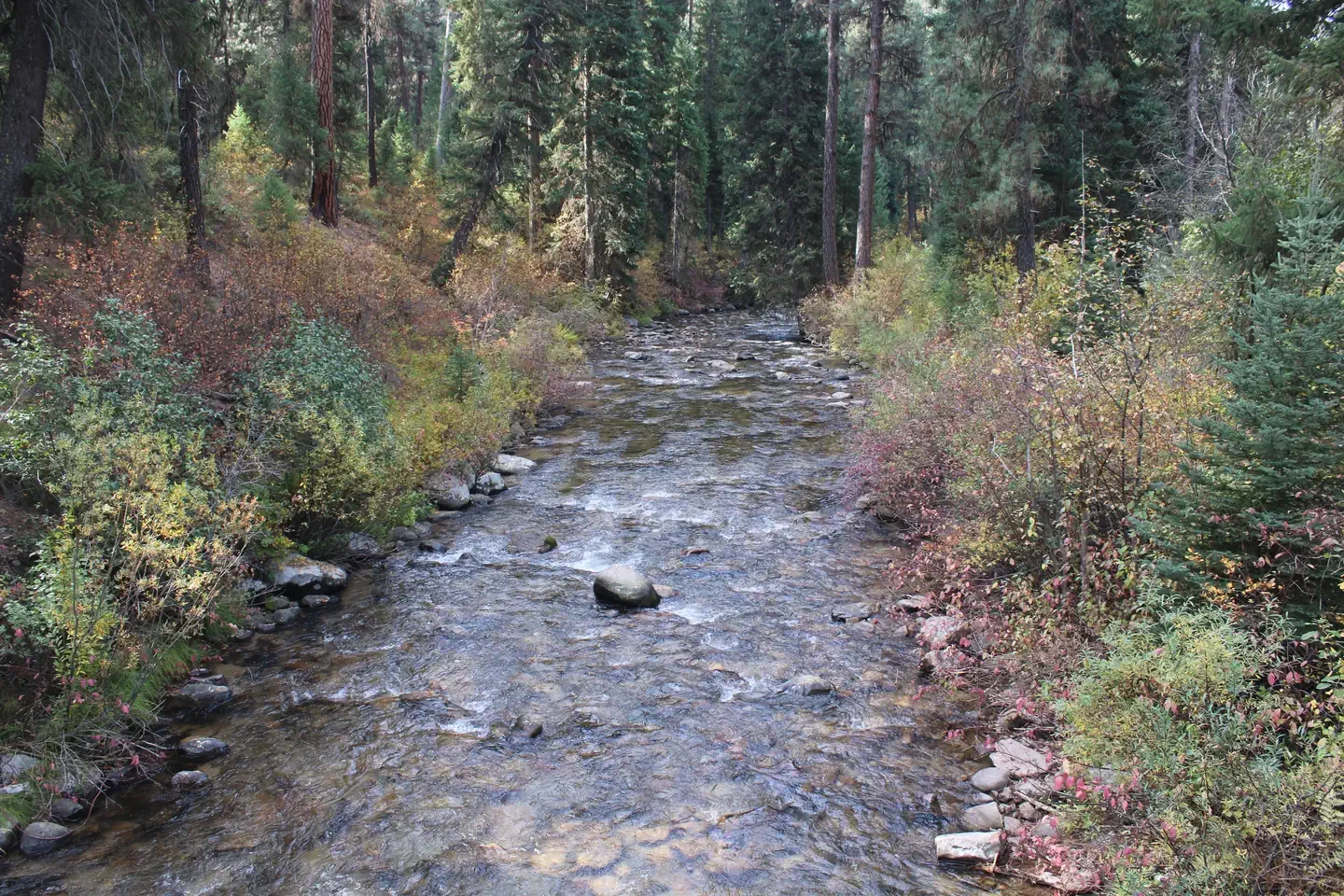 Park Creek (idaho)