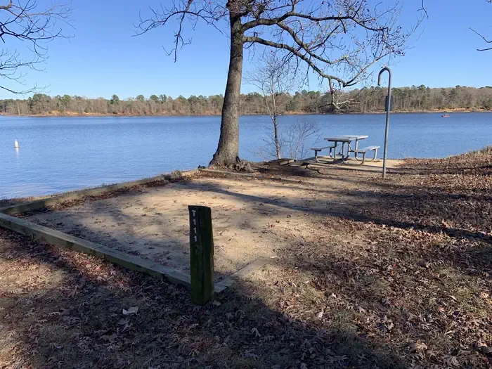 T111