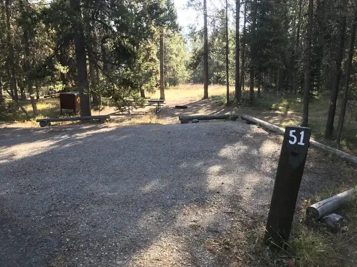 51