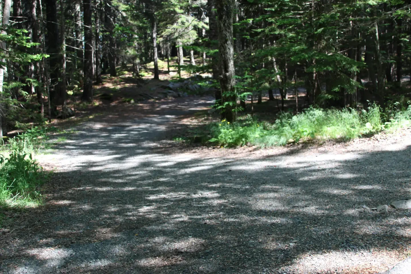 Blackwoods Campground