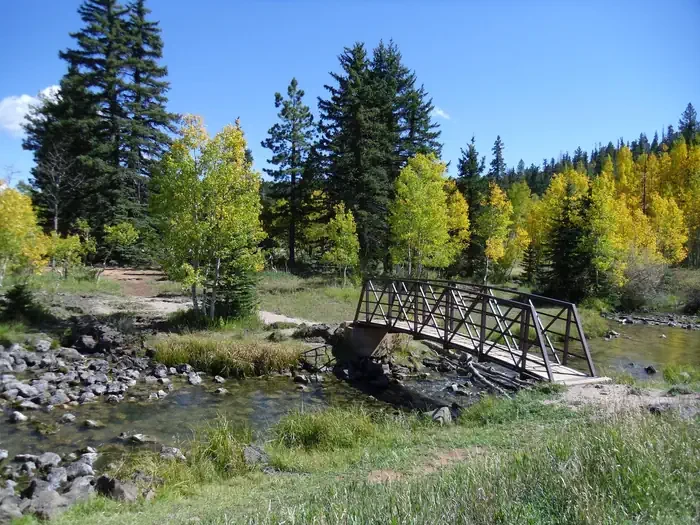 Duck Creek