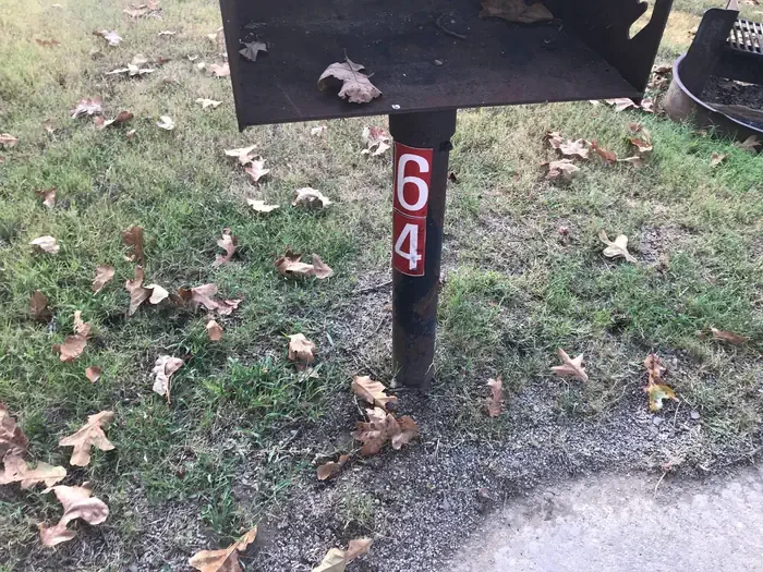 64