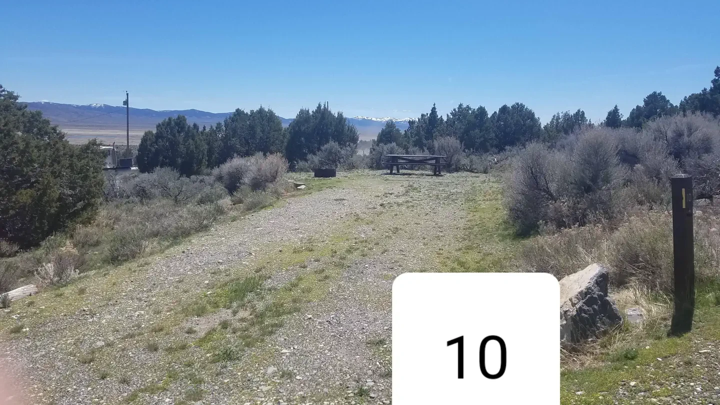 010