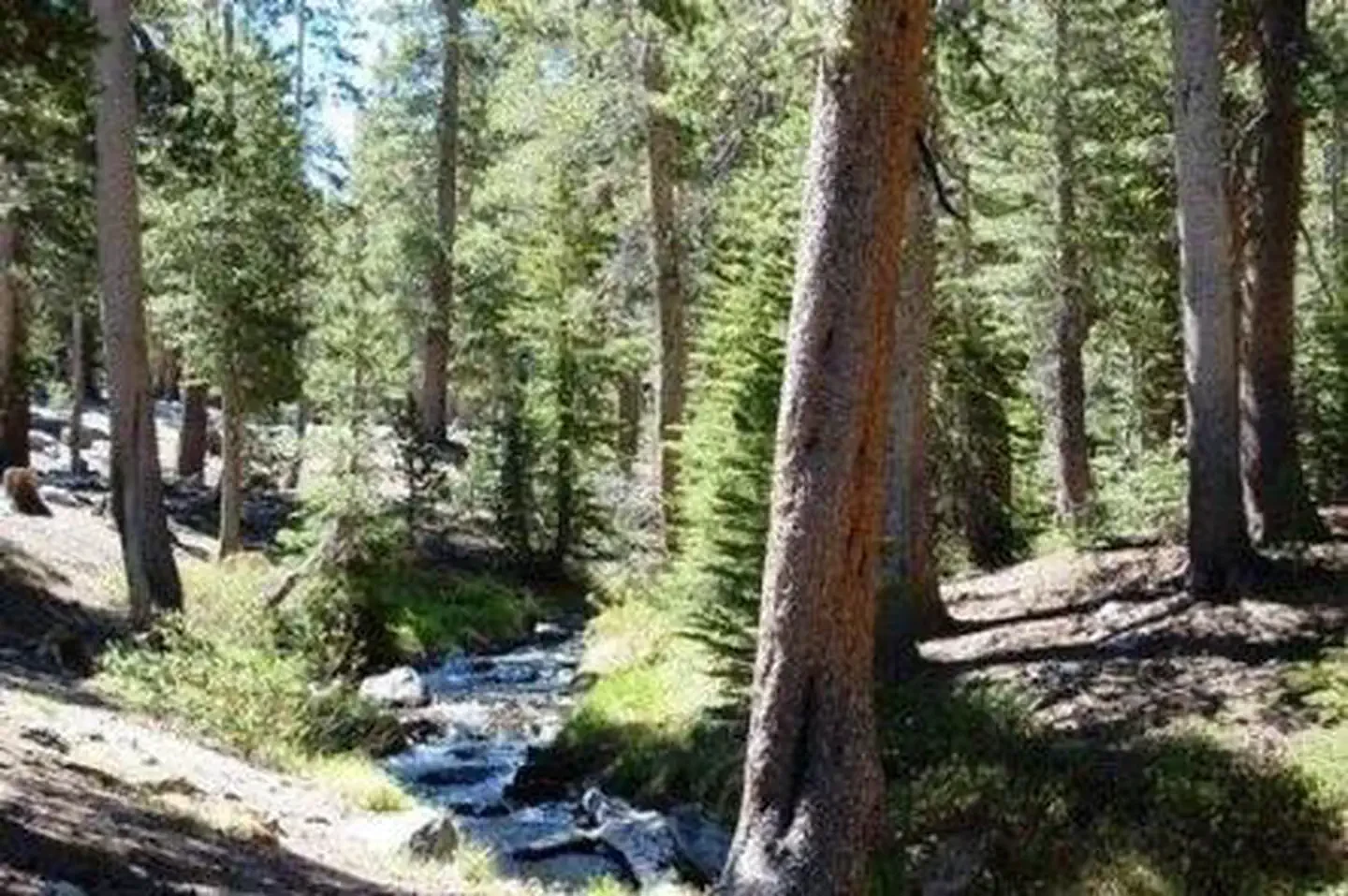 Coldwater Campground - Inyo NF (CA)