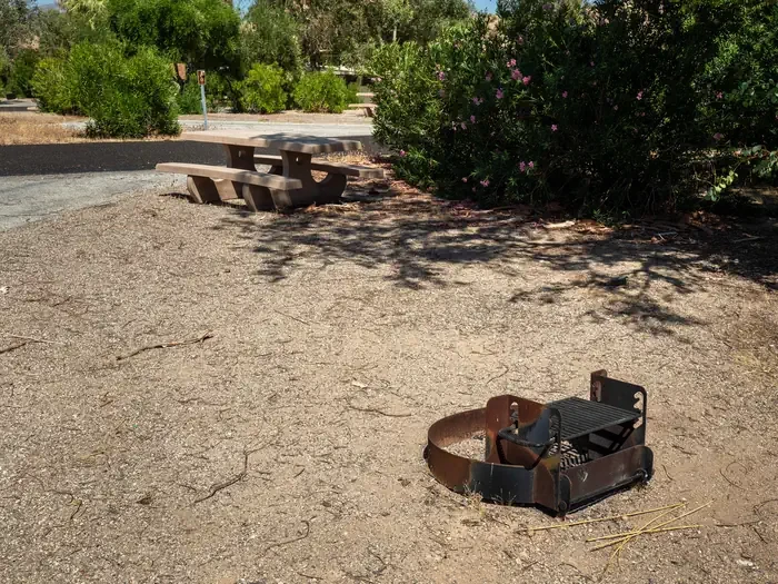 Site 59