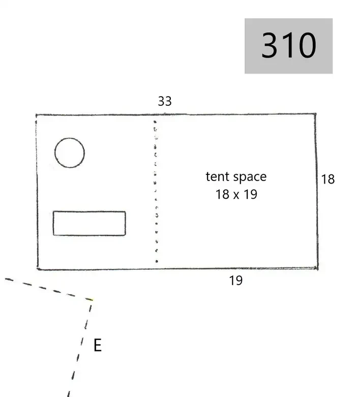310
