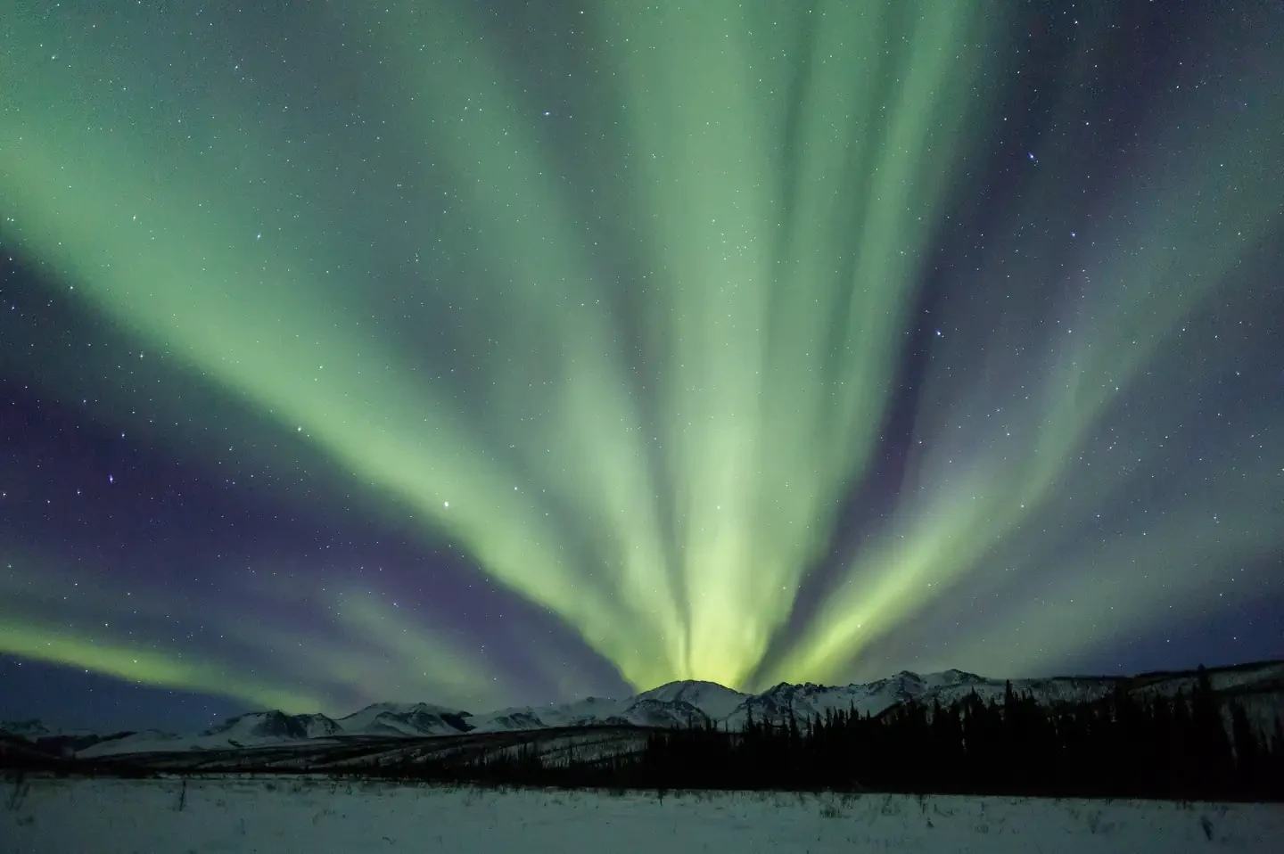 White Mountains National Recreation Area - Alaska Cabins