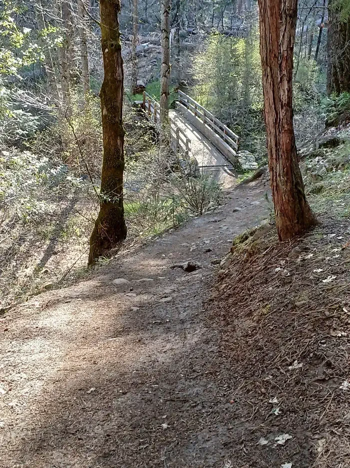 East Weaver Group Campground