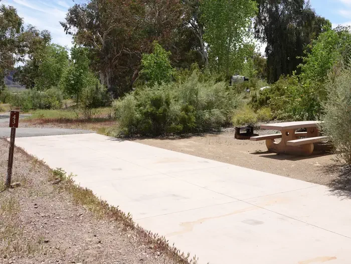 Site 43