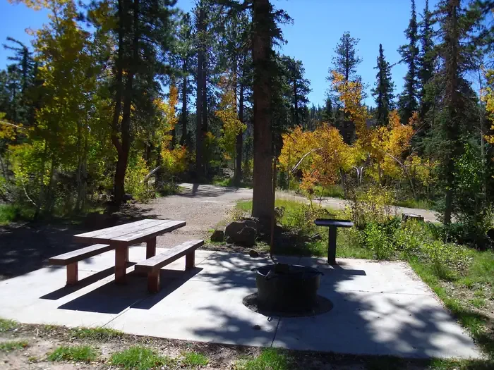 Duck Creek