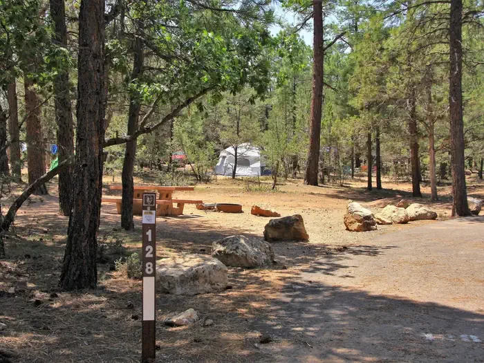 128