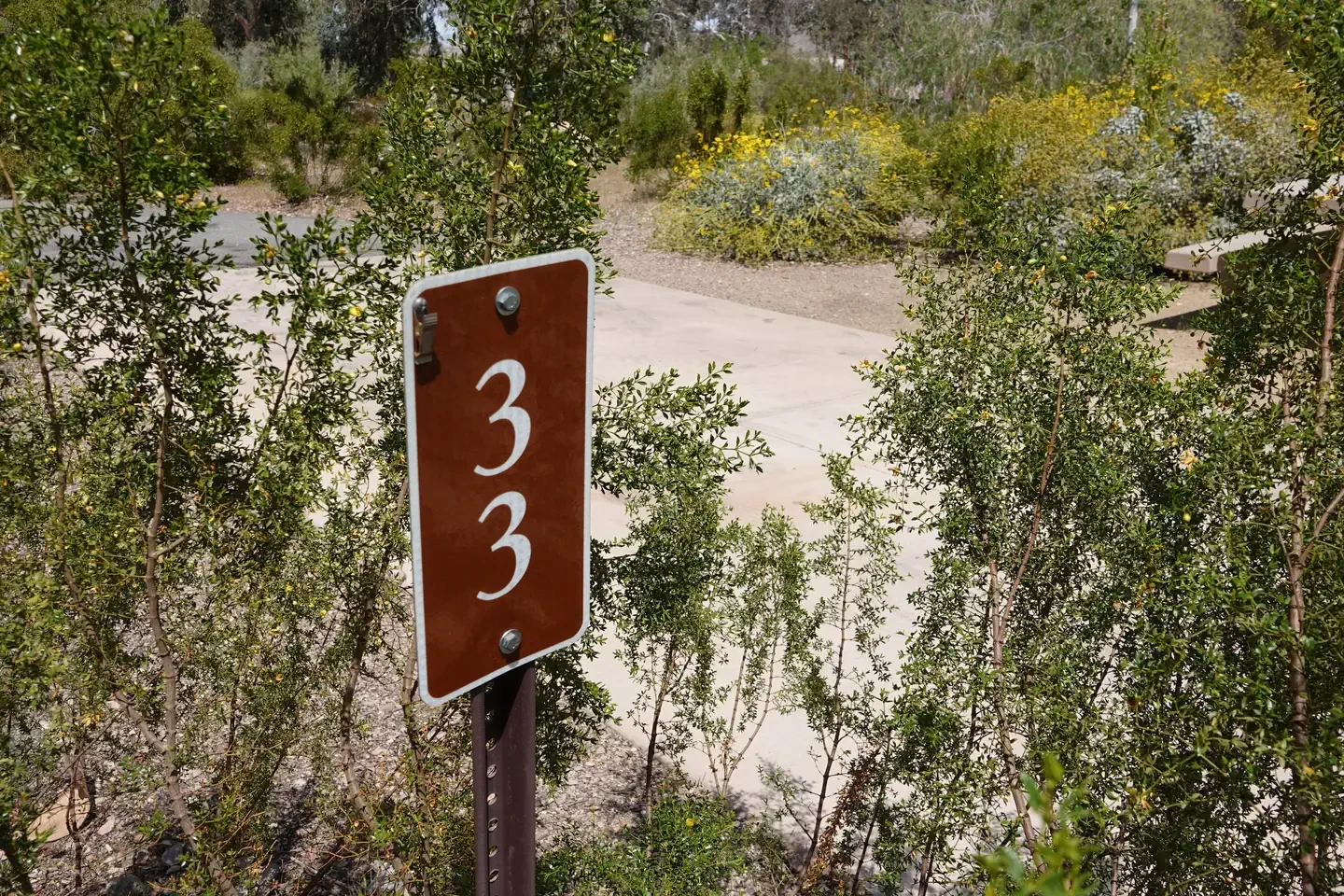 Site 33