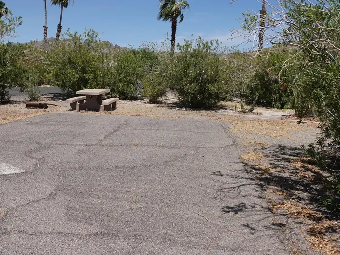 Site 17
